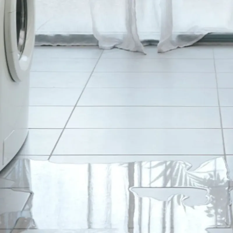 Appliance Leak Cleanup in Carthage, TN