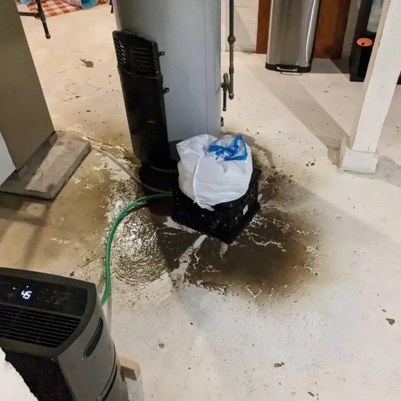 Sewage Backup Cleanup Service in Carthage, TN